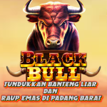 Black Bull